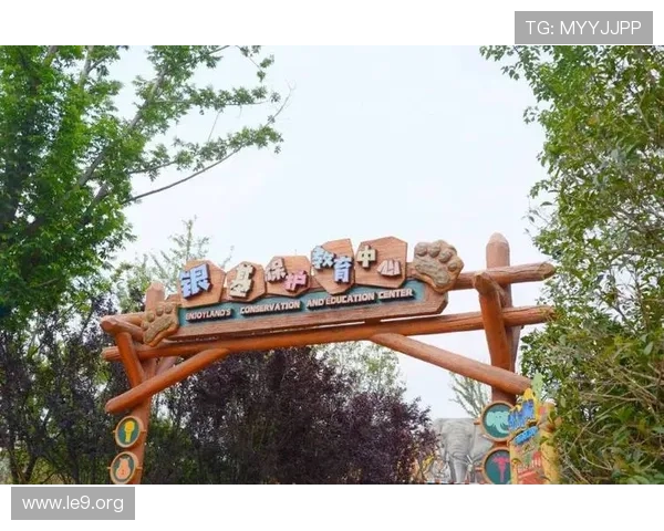 4001百老汇官网全面指南：演出预订流程、票务优惠及常见问题解答帮你无忧购票