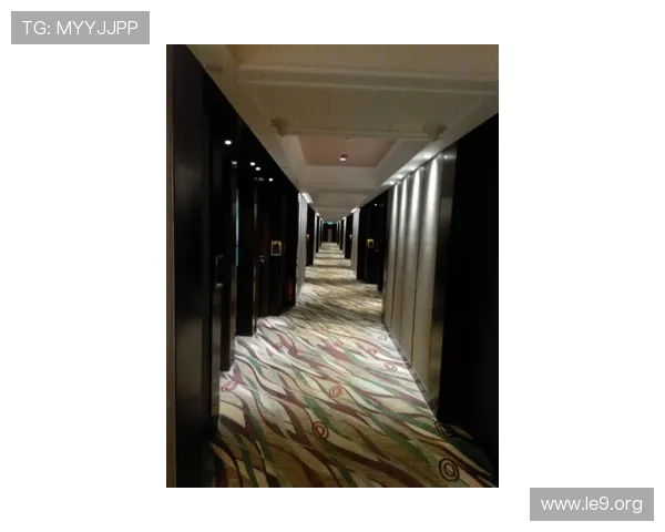 澳门四大贵宾厅的服务内容与特色，满足不同客户的尊贵体验需求